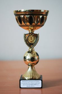 Победитель регионального матча по мини-футболу-Новогодний мяч среди юношей 2003-2004 г.р. (декабрь 2013)